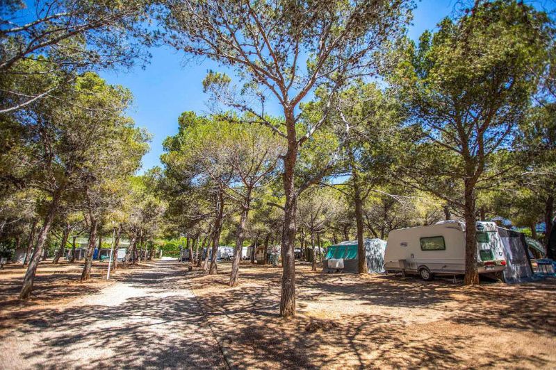 oferta-pre-temporada Campsite with camping pitches in Tarragona